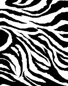1256567033508642080055.jpeg